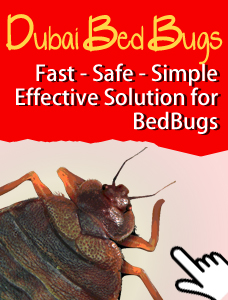 Dubai Bed Bugs Logo