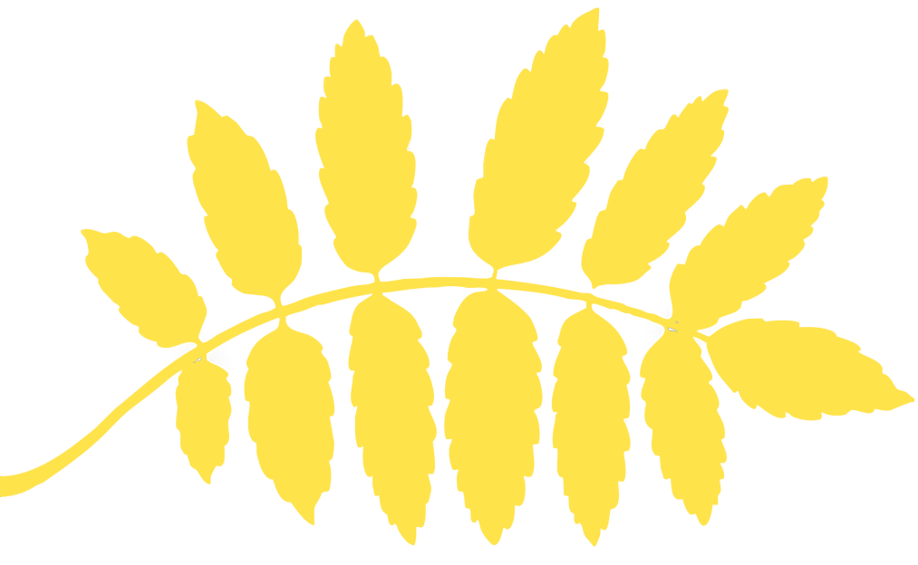 Perfect Health SPA Logo