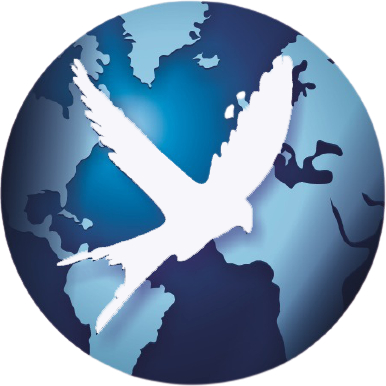 Swift Worldwide Logistics Logo