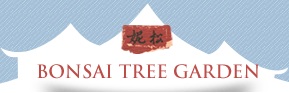 BONSAI TREE GARDEN Logo