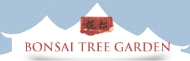 BONSAI TREE GARDEN