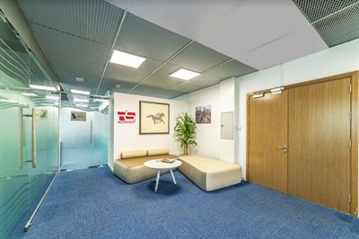 RedSpider Web & Art Design