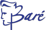 Bare Styles Gents Salon Logo