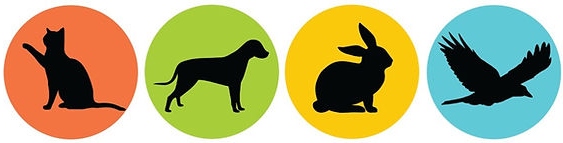 Paws and Claws Veterinary Clinic  Logo