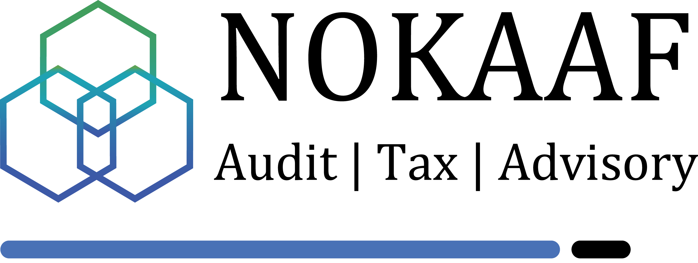 NOKAAF Auditors Logo