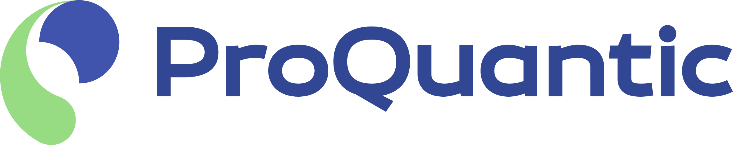 Proquantic Software Logo