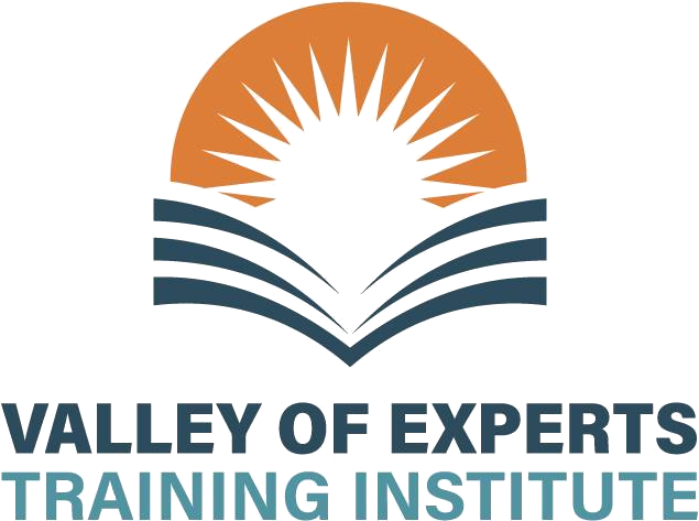 Valley Of Experts Logo