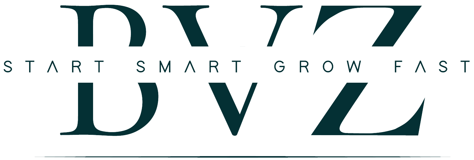 BVZ Dubai Logo