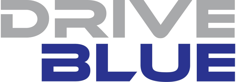Blue Middle East Logo