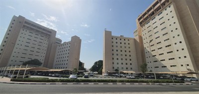 Jewellery And Gemplex Building 2