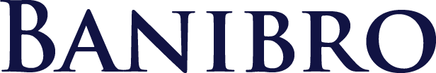 Banibro IT Solutions Logo