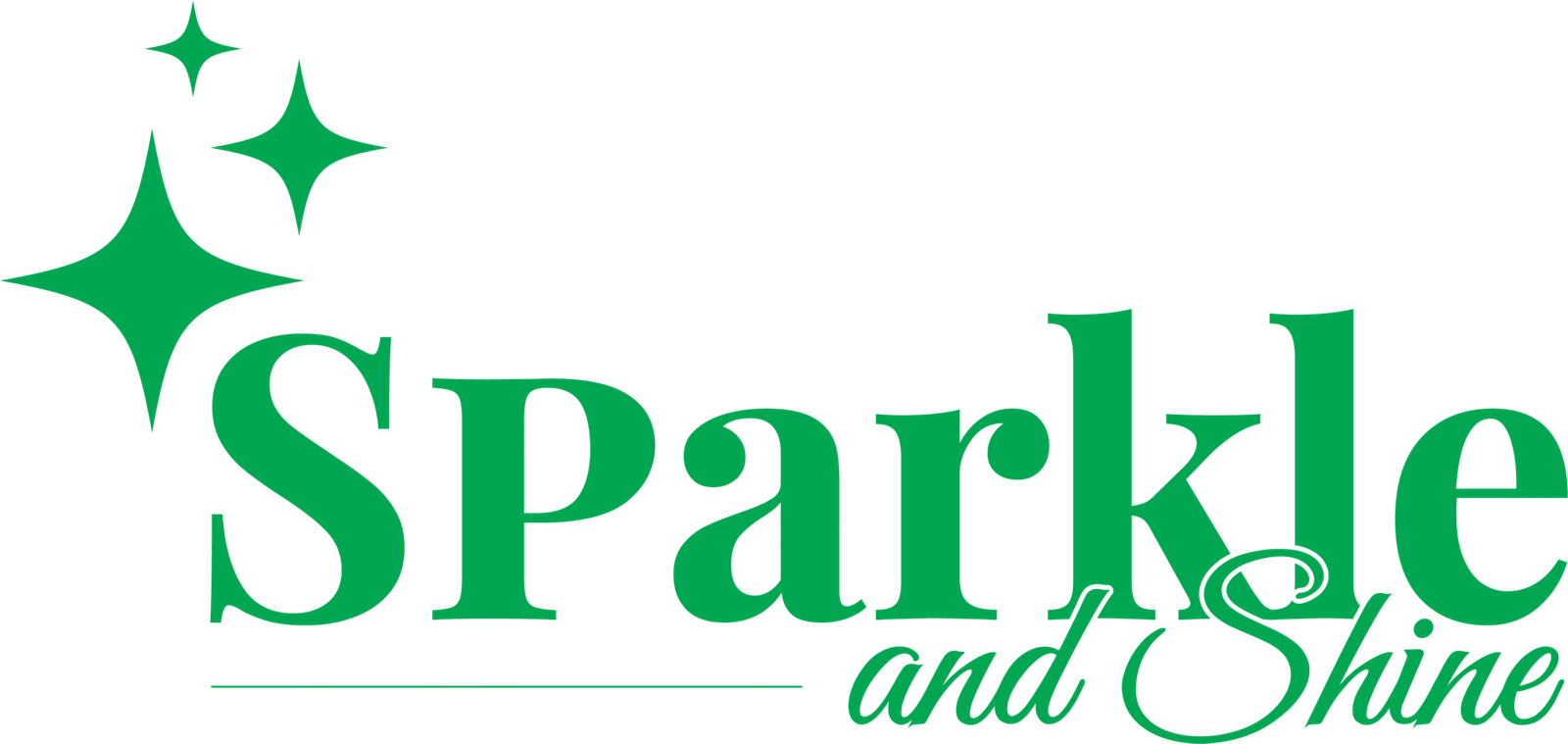 Sparkle and Shine Logo