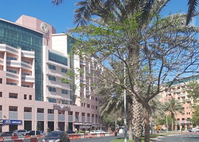 Discovery Gardens Building 13