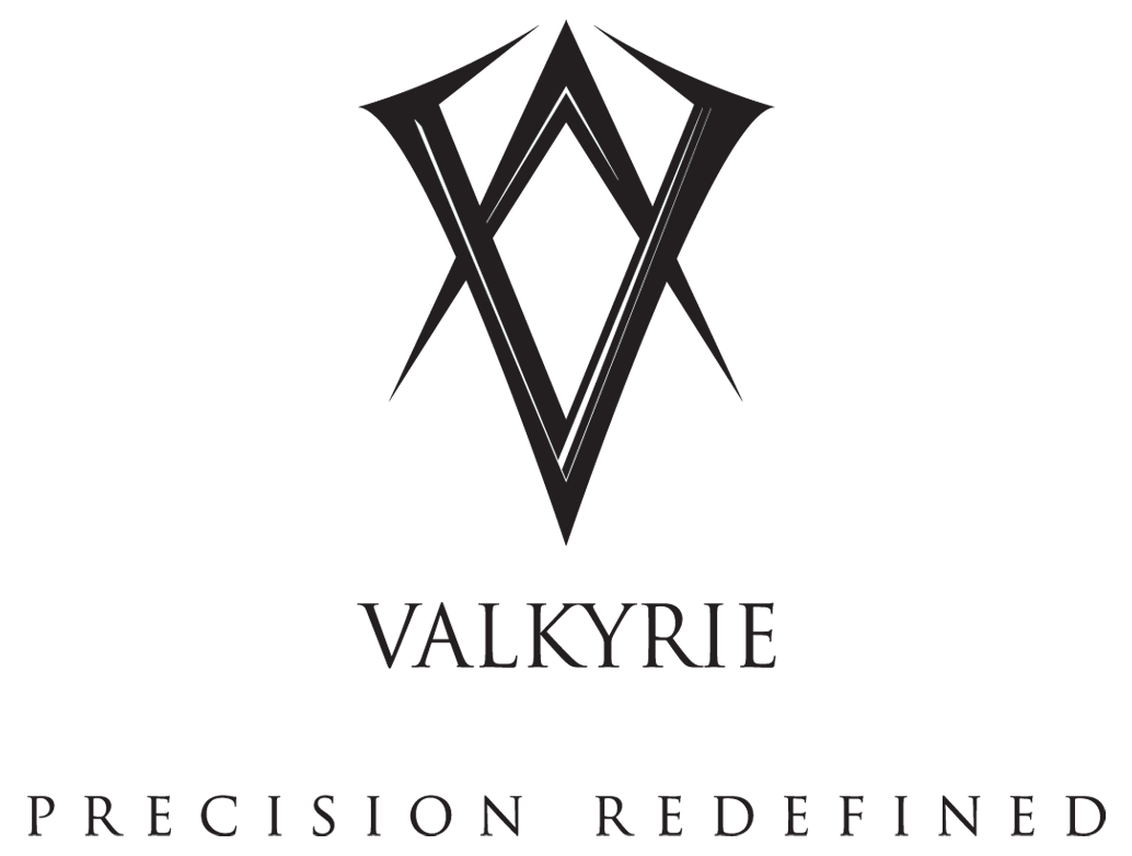 Valkyrie DMCC Logo