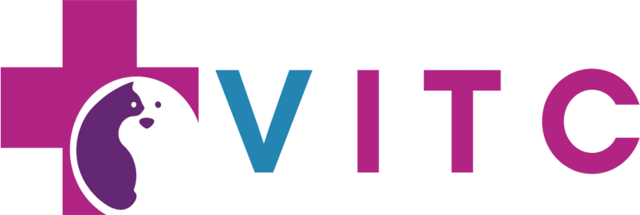 Vets in the City Logo