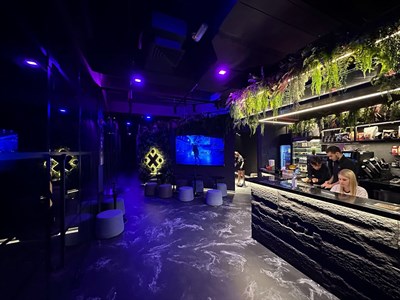 The Game Premium Lounge LLC