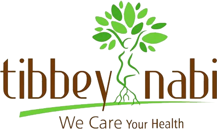 Tibbey Nabi LLC Logo