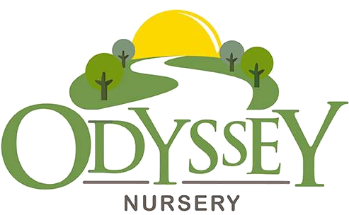 Odyssey Nursery Logo