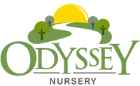 Odyssey Nursery