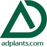 Umm Al Salsal Trading Flowers & Indoor Plants