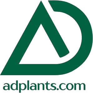 Umm Al Salsal Trading Flowers & Indoor Plants Logo