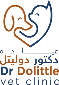 Dr Dolittle Vet Clinic