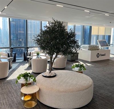 TownX Real Estate Development