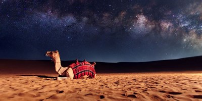 Culture Hub Tourism & Travel