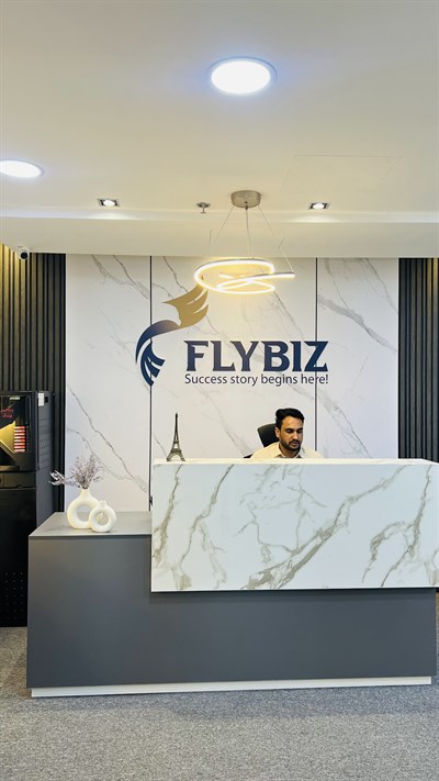 Flybiz Business Setup Consultants