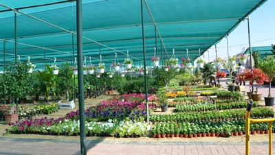 Green Glades Landscaping LLC