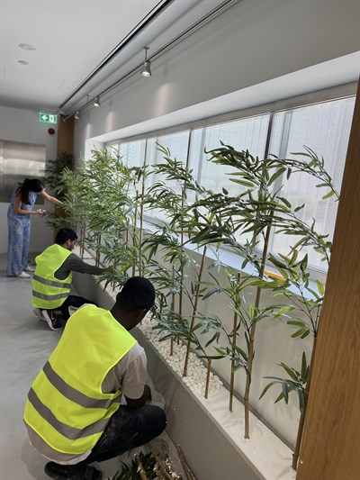 Four Trade LLC - Ambermint