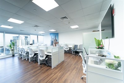 Biz Growth Consultancy