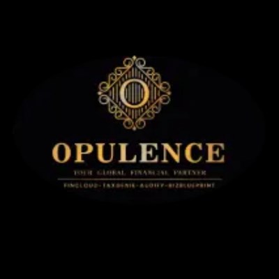 Opulence Accounting and Bookkeeping LLC