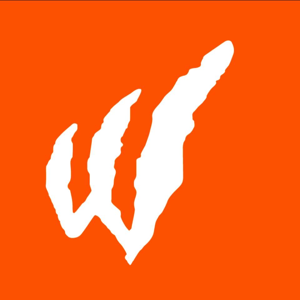 Wild Adventures Logo