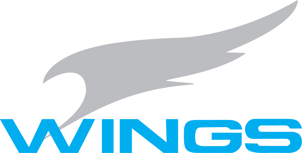 Wings International Car Parts Logo