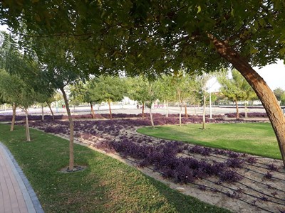 Al Warqa 3 Park