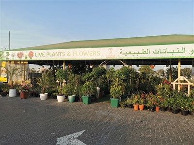 Al Kabayel Live Plants & Flowers