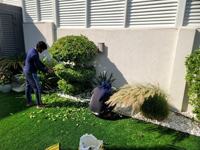 GreenView Landscapes