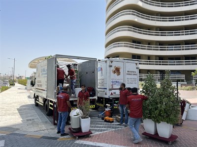 Global Icon Movers & Storage