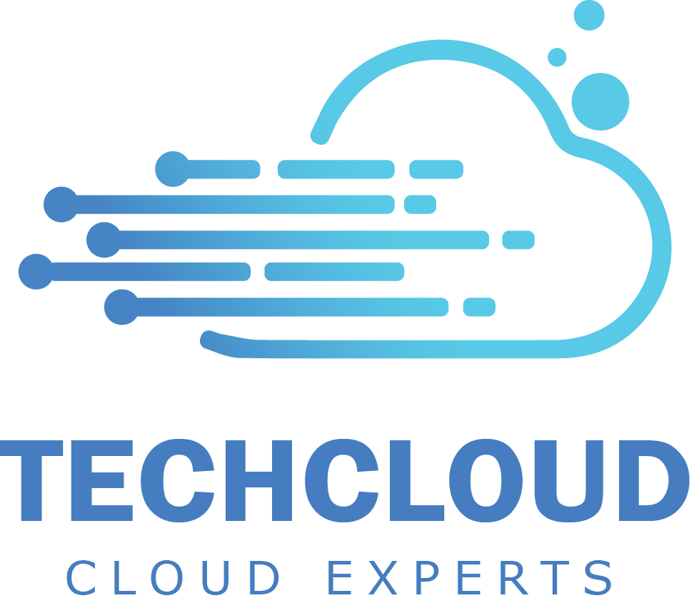 TechCloud IT Services L.L.C. Logo