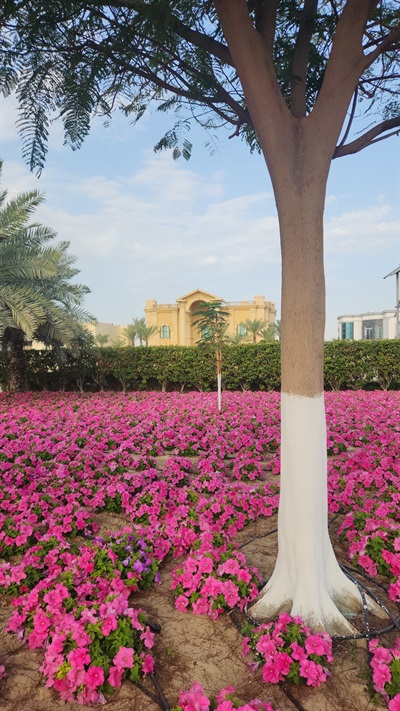 Al Mizhar First Park