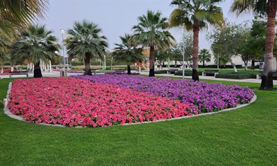 Al Mizhar Second Park