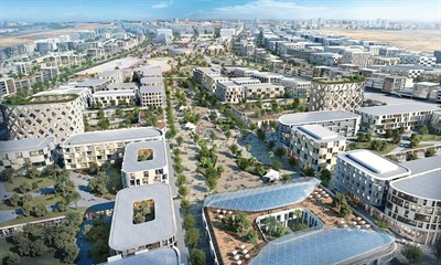 International Properties Real Estate LLC