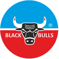 Black Bulls Grease & Lubricants Manufacturing LLC