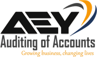 A E Y Auditing of Accounts