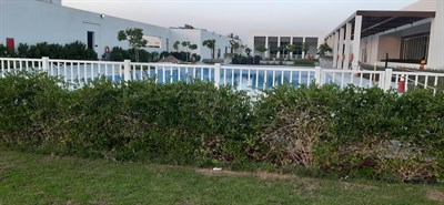 Meydan South Club House