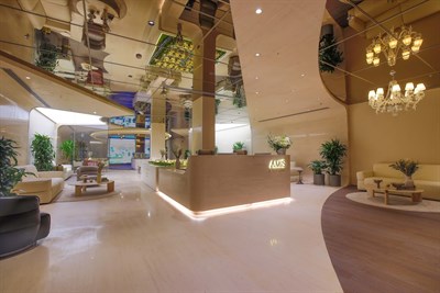 AMIS Real Estate Development LLC