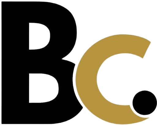 Brainciti Management Consultancies Logo