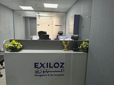 Exiloz Management & Tax Consultant LLC
