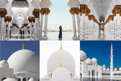 Desert Birds Tourism LLC